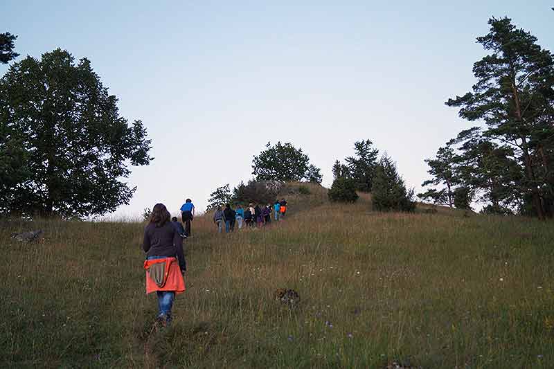 Erlebniswanderung in den Bergen